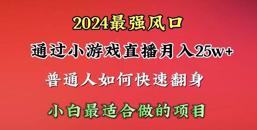 2024年最强风口，通过小游戏直播月入25w+单日收益5000+小白最适合做的项目-网赚资源网