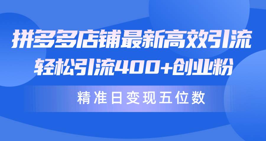 拼多多店铺最新高效引流术，轻松引流400+创业粉，精准日变现五位数！-网赚资源网