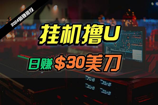 日赚30美刀，2024最新海外挂机撸U内部项目，全程无人值守，可批量放大-网赚资源网