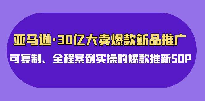 亚马逊30亿·大卖爆款新品推广，可复制、全程案例实操的爆款推新SOP-网赚资源网