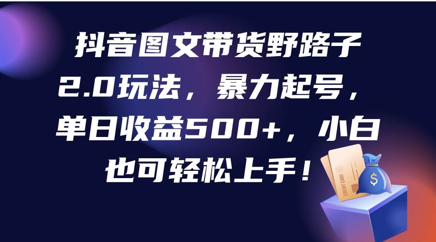 抖音图文带货野路子2.0玩法，暴力起号，单日收益500+，小白也可轻松上手！-网赚资源网