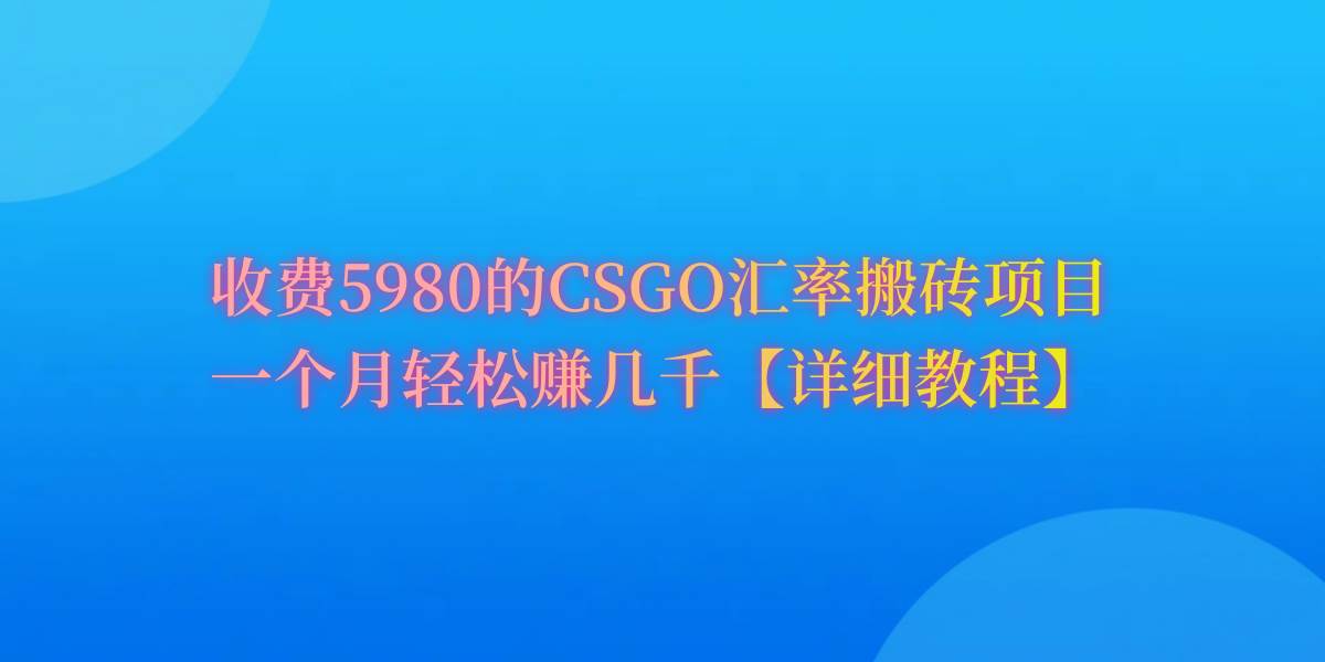 CSGO装备搬砖，月综合收益率高达60%，你也可以！-网赚资源网