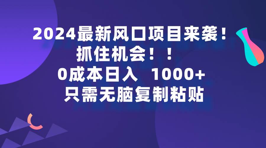 2024最新风口项目来袭，抓住机会，0成本一部手机日入1000+，只需无脑复…-网赚资源网