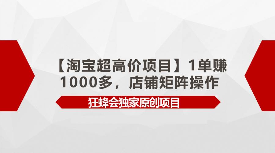 【淘宝超高价项目】1单赚1000多，店铺矩阵操作-网赚资源网