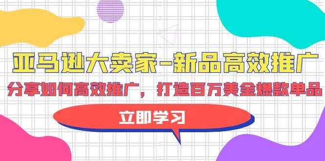 亚马逊 大卖家-新品高效推广，分享如何高效推广，打造百万美金爆款单品-网赚资源网