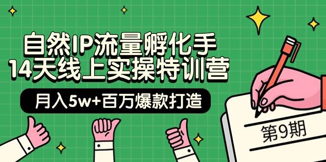 自然IP流量孵化手 14天线上实操特训营【第9期】月入5w+百万爆款打造 (74节)-网赚资源网