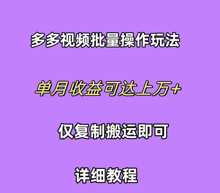 拼多多视频带货快速过爆款选品教程 每天轻轻松松赚取三位数佣金 小白必…-网赚资源网