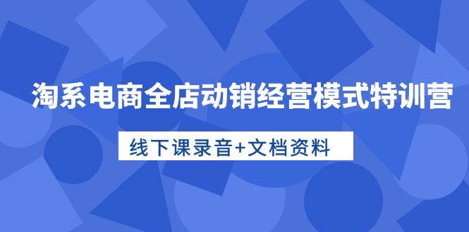 淘系电商全店动销经营模式特训营，线下课录音+文档资料-网赚资源网