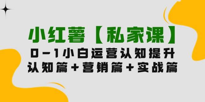 小红薯【私家课】0-1玩赚小红书内容营销，认知篇+营销篇+实战篇（11节课）-网赚资源网