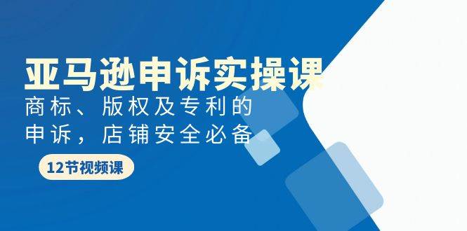 亚马逊-申诉实战课，商标、版权及专利的申诉，店铺安全必备-网赚资源网