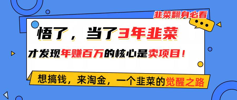 悟了，当了3年韭菜，才发现网赚圈年赚100万的核心是卖项目，含泪分享！-网赚资源网