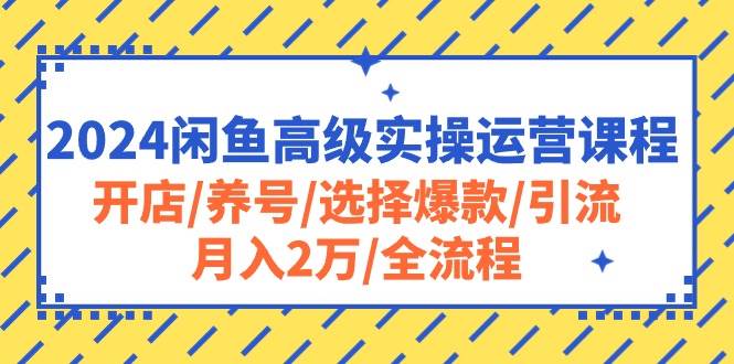 2024闲鱼高级实操运营课程：开店/养号/选择爆款/引流/月入2万/全流程-网赚资源网