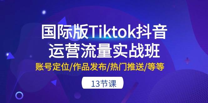 国际版Tiktok抖音运营流量实战班：账号定位/作品发布/热门推送/等等-13节-网赚资源网