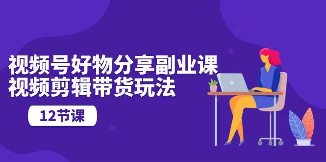 视频号好物分享副业课，视频剪辑带货玩法（12节课）-网赚资源网