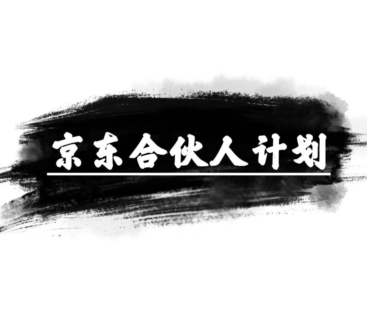 京东合伙人计划，轻松月入过万，赚钱项目，只需复制粘贴，小白也能做。-网赚资源网