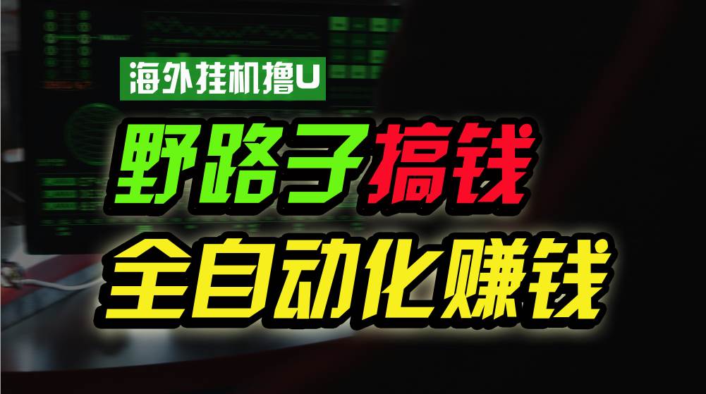 海外挂机撸U新平台，日赚8-15美元，全程无人值守，可批量放大，工作室内…-网赚资源网