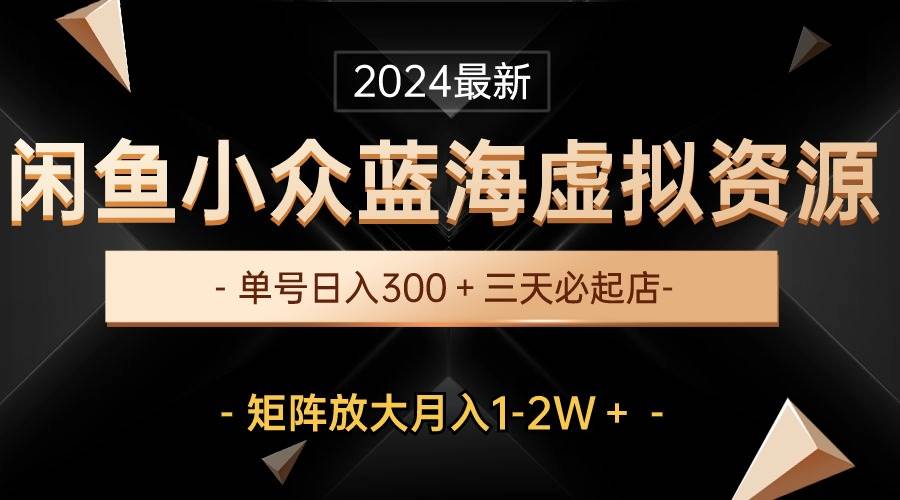最新闲鱼小众蓝海虚拟资源，单号日入300＋，三天必起店，矩阵放大月入1-2W-网赚资源网