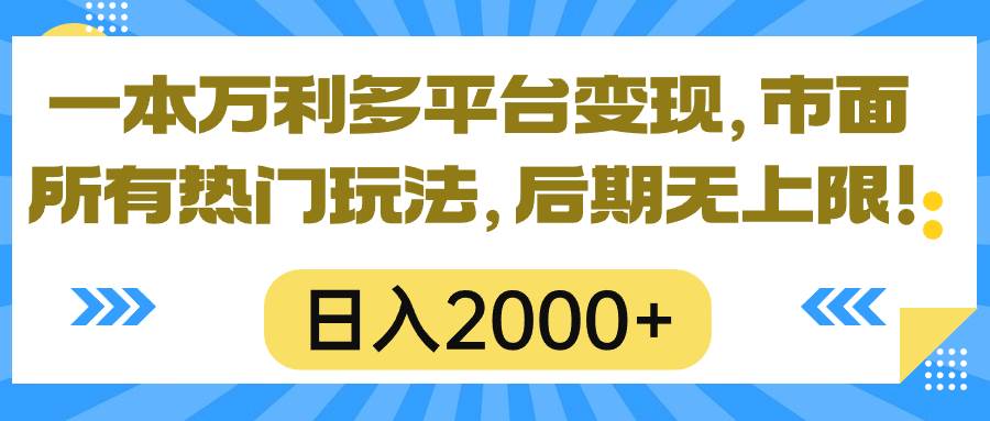 一本万利多平台变现，市面所有热门玩法，日入2000+，后期无上限！-网赚资源网