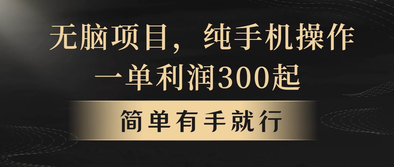 无脑项目，一单几百块，轻松月入5w+，看完就能直接操作-网赚资源网