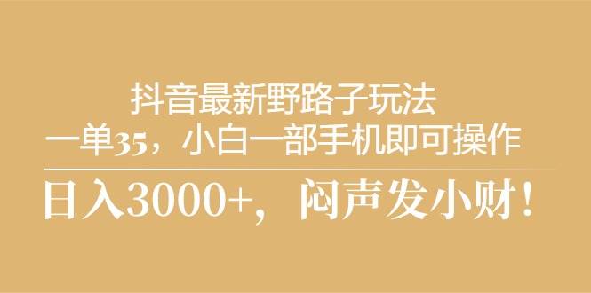 抖音最新野路子玩法，一单35，小白一部手机即可操作，，日入3000+，闷…-网赚资源网