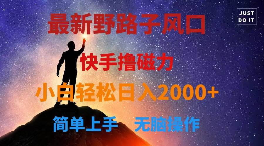 最新风口！快手撸磁力，野路子，小白无脑操作日入2000+-网赚资源网