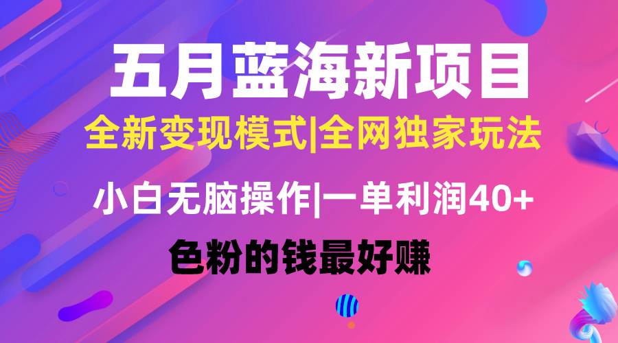 五月蓝海项目全新玩法，小白无脑操作，一天几分钟，矩阵操作，月入4万+-网赚资源网