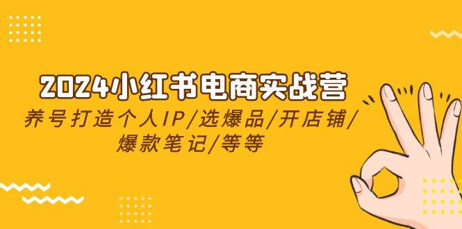 2024小红书电商实战营，养号打造IP/选爆品/开店铺/爆款笔记/等等（24节）-网赚资源网