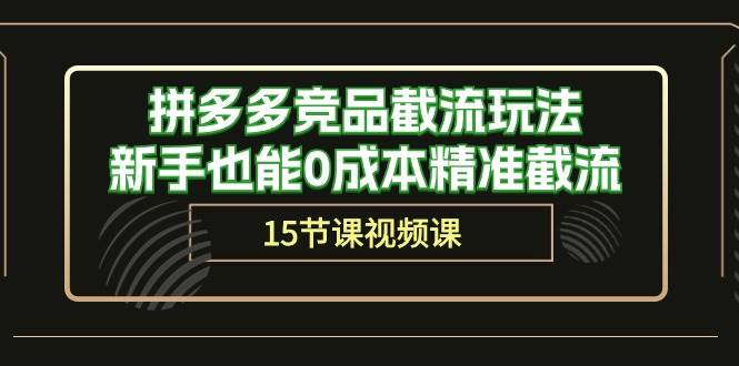 拼多多竞品截流玩法，新手也能0成本精准截流（15节课）-网赚资源网