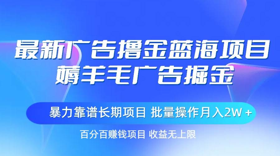 最新广告撸金蓝海项目，薅羊毛广告掘金 长期项目 批量操作月入2W＋-网赚资源网