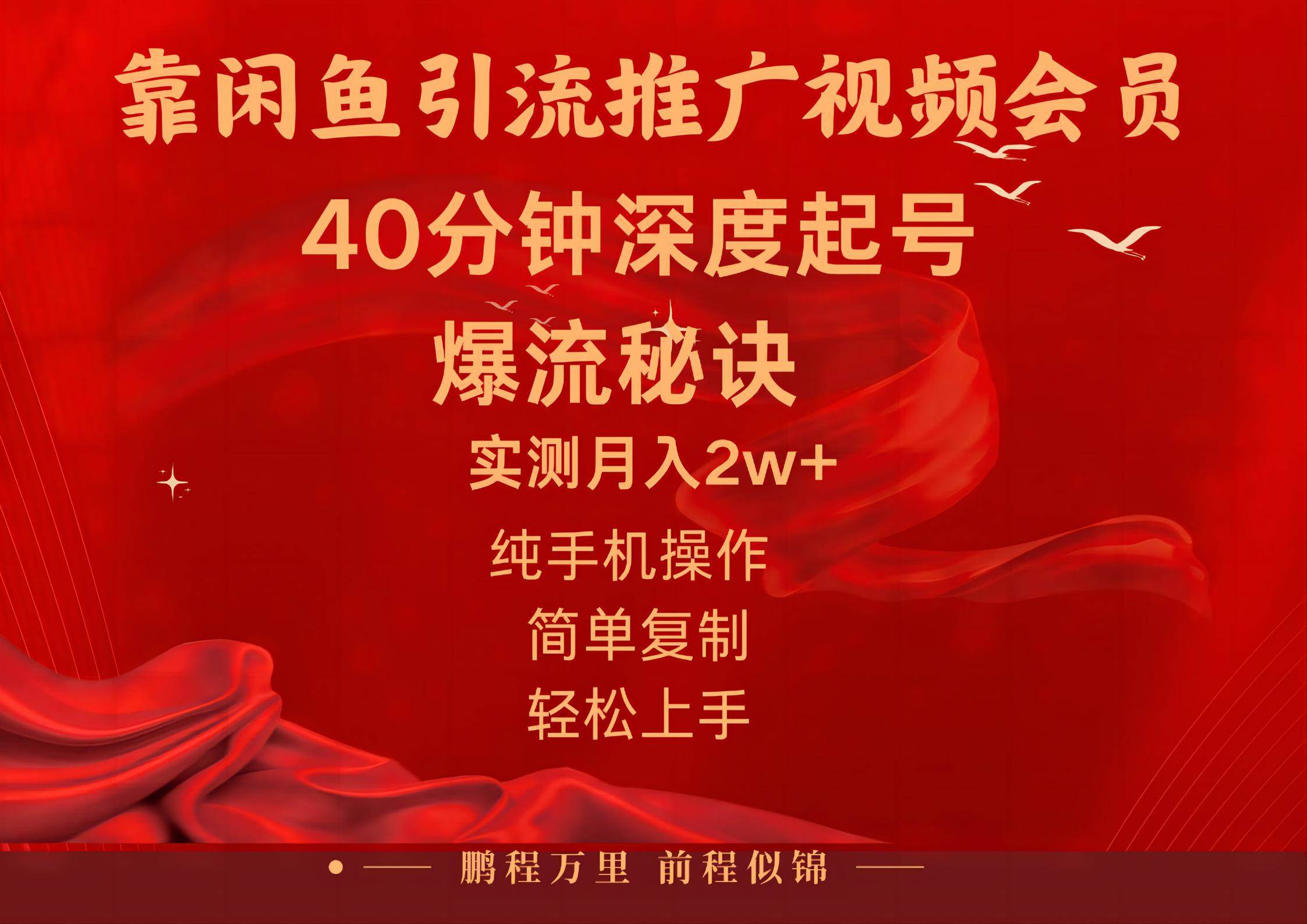 闲鱼暴力引流推广视频会员，能做到日入2W+，操作简单-网赚资源网