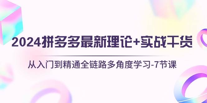 2024拼多多 最新理论+实战干货，从入门到精通全链路多角度学习-7节课-网赚资源网