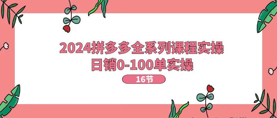 2024拼多多全系列课程实操，日销0-100单实操【16节课】-网赚资源网
