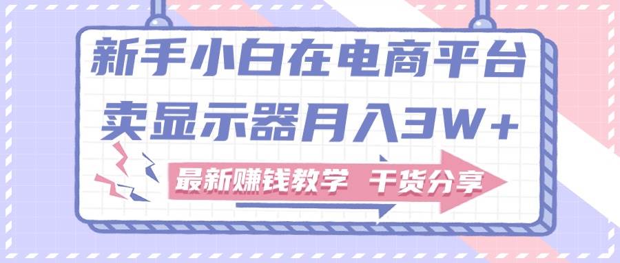 新手小白如何做到在电商平台卖显示器月入3W+，最新赚钱教学干货分享-网赚资源网