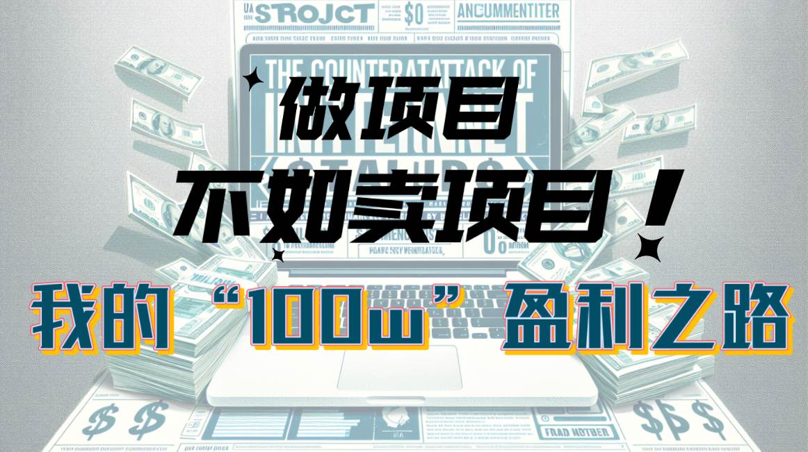 为什么做项目不如卖项目？我的100W+盈利之路-网赚资源网