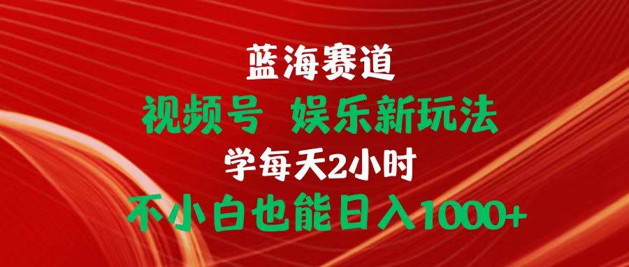 蓝海赛道视频号 娱乐新玩法每天2小时小白也能日入1000+-网赚资源网