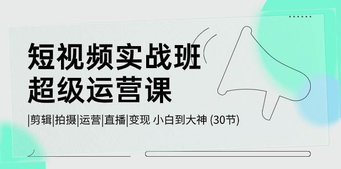 短视频实战班-超级运营课，|剪辑|拍摄|运营|直播|变现 小白到大神 (30节)-网赚资源网