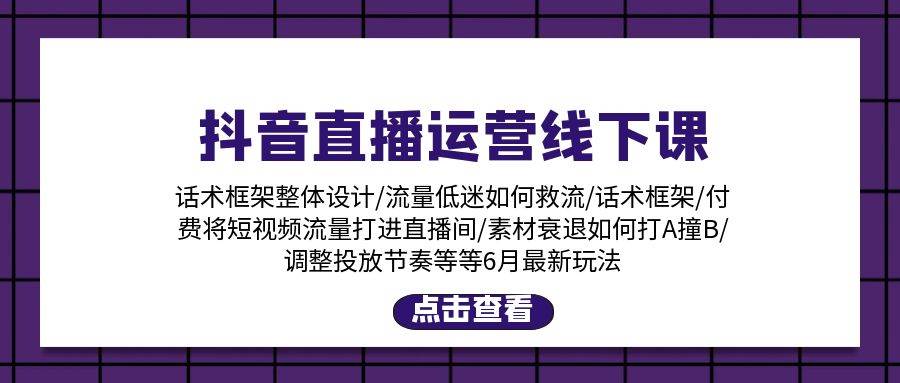 抖音直播运营线下课：话术框架/付费流量直播间/素材A撞B/等6月新玩法-网赚资源网