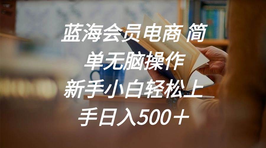 蓝海会员电商 简单无脑操作 新手小白轻松上手日入500＋-网赚资源网