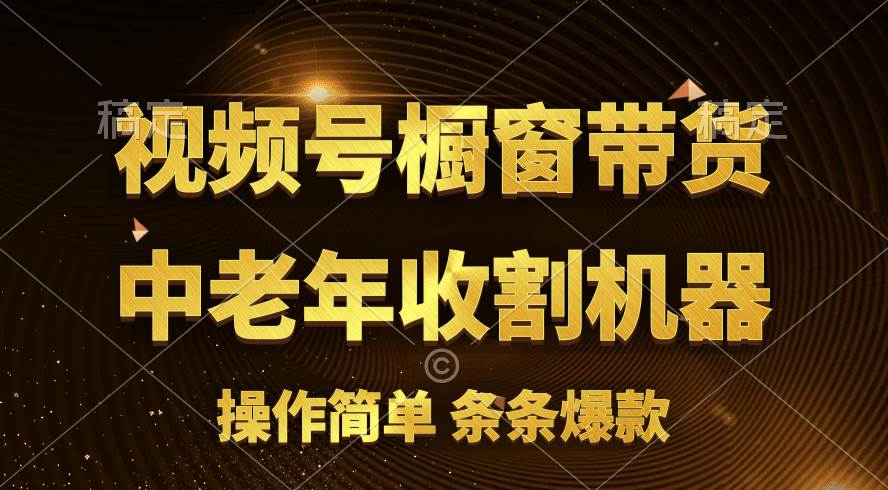 [你的孩子成功取得高位]视频号最火爆赛道，橱窗带货，流量分成计划，条…-网赚资源网