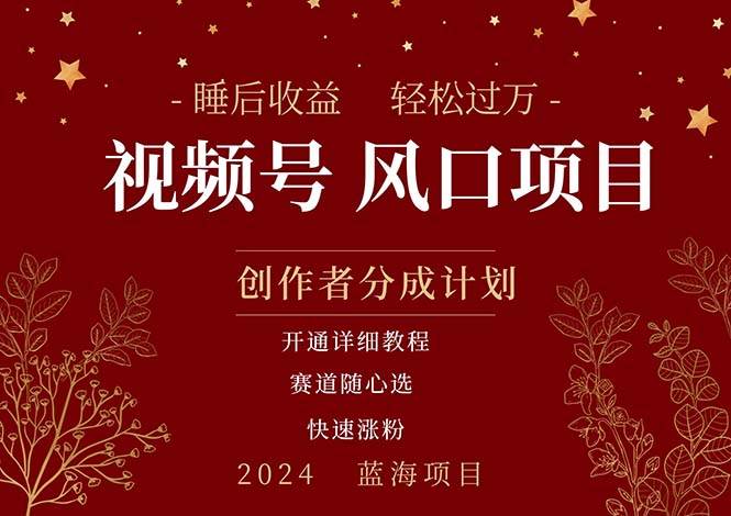 拥有睡眠收益的微信视频号大风口项目，轻松月入过万+，多赛道选择，可…-网赚资源网