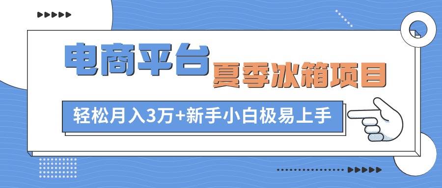 电商平台夏季冰箱项目，轻松月入3万+，新手小白极易上手-网赚资源网