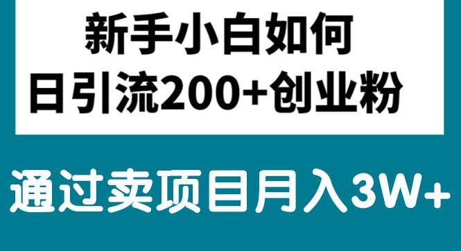 新手小白日引流200+创业粉,通过卖项目月入3W+-网赚资源网