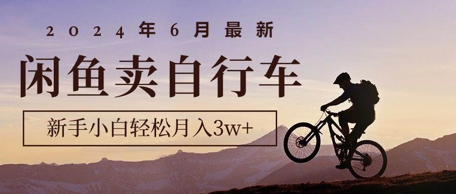 2024年6月最新闲鱼卖自行车，新手小白轻松月入3w+项目-网赚资源网