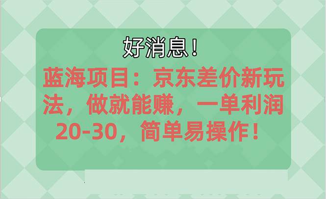 越早知道越能赚到钱的蓝海项目：京东大平台操作，一单利润20-30，简单…-网赚资源网