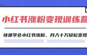 2024小红书涨粉变现训练营,快速学会小红书涨粉,月入十万轻松变现(40节)-网赚资源网