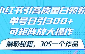 小红书引高质量白领粉,单号日引300+,可放大操作,爆粉秘籍!30s一个作品-网赚资源网