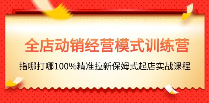 全店动销-经营模式训练营，指哪打哪100%精准拉新保姆式起店实战课程-网赚资源网