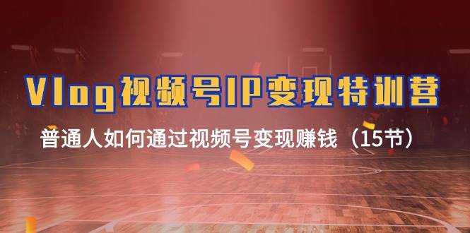 Vlog 视频号IP变现特训营，普通人如何通过视频号变现赚钱（15节）-网赚资源网