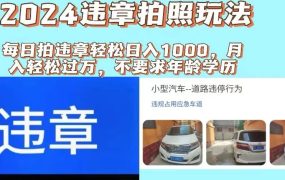 2024违章拍照新玩法,推广躺赚+拍照赚钱双模式,日入1000+-网赚资源网