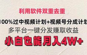 利用软件双重去重,100%过中视频+视频号分成计划小白也可以月入4W+-网赚资源网